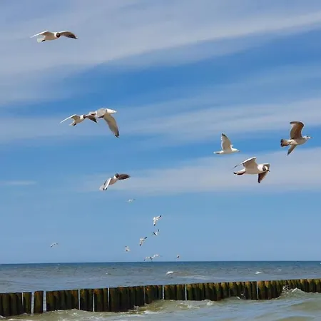 Z Tarasami Miętowy Spokój 15 Romantyczna Szarość 16 Niebieska Elegancja 17 Maksymalnie Dla 6 Osób